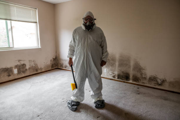 Insurance-Related Mold Remediation